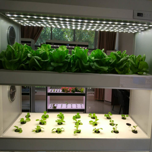 Lampes de culture LED à spectre complet avec variateur d'intensité pour serre, hydroponie, <span class=keywords><strong>germination</strong></span> de semis et culture de légumes - Product Image 4