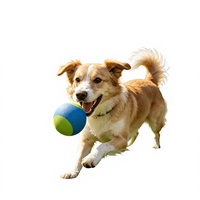 Balle de jeu pour chien en caoutchouc flottante et couineuse, ultra résistante, multicolore, pour la stimulation mentale des chiens actifs