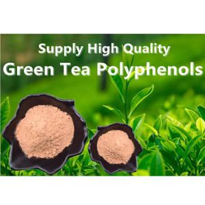 Estratto vegetale di polifenoli estratto di tè verde fonte organica di catechina - Product Image 3