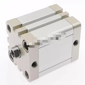 Dents intérieures de vérins pneumatiques compacts ACE50X45 - Product Image 1