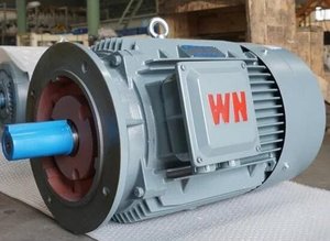 완난 모터 550W 삼상 비동기 모터 - Product Image 2