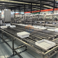 Machine de fabrication de tofu souple automatique | Équipement de production de tofu soyeux | Ligne de traitement de caillé de haricot à usage commercial