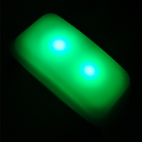 Couleur personnalisée Evénement Bracelet promotionnel Bracelet en plastique led télécommandé Concert Sports Bracelet led