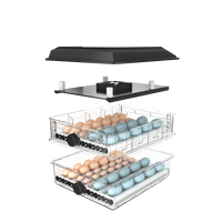 Vente flash : incubateur à œufs de poulet de 128 capacités, pour usage domestique et agricole
