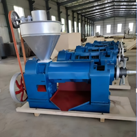 Presse à huile à vis 6YL-95 pour arachides, soja, noix de coco, 150 kg/h, acier au carbone, extracteur d'huile automatique