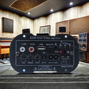 Mạch khuếch đại âm thanh ô tô T5 12V 220V bán buôn, tích hợp <span class=keywords><strong>Bluetooth</strong></span>, hỗ trợ USB, TF, FM, giải mã âm thanh, loa siêu trầm - Product Image 2