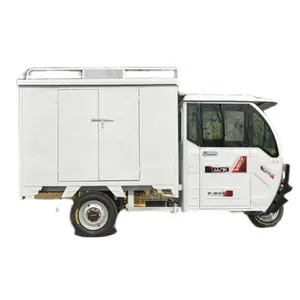 Tricycles électriques à 3 roues Siristar Cargo Delivery avec chariot isolant à vendre