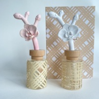 Ensembles de diffuseurs de fleurs en plâtre entièrement personnalisés, cadeaux, décoration intérieure, aromathérapie sans feu, ensembles de désodorisants d'air pour la maison