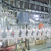 Machinerie d'abattoir et outil d'abattage de volaille