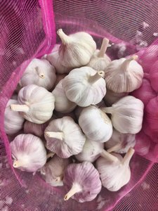 Exportadores de ajo blanco fresco de Ajo Alho al por mayor <span class=keywords><strong>precio</strong></span> con embalaje de cartón personalizado supuestos proveedores baratos - Product Image 3