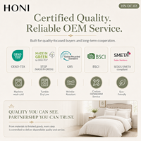 HONI Offre Spéciale – Parure de Lit 3-en-1 en Coton Bambou Respirant Style Luxe pour Lit Queen Size – Housse de Couette et Taies d'Oreiller