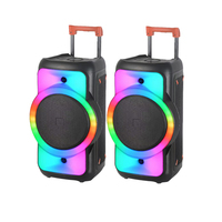 Grands haut-parleurs BT professionnels Système de haut-parleurs de sonorisation portable avec tweeter de 12 "et lumière de fête