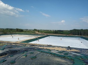 ASTM mịn 0.5mm 0.75 mm1.5 mm 2.0mm HDPE lót geomembranes cá đập ao lót - Product Image 4