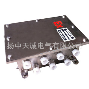 Caja de Conexiones a Prueba de Explosiones de Acero Inoxidable IP65 para Ubicaciones Peligrosas, Fabricada en Yangzhong - Product Image 1