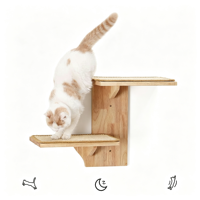 Étagère murale pour chat en bois écologique moderne et perchoir avec tapis en sisal, arbre à chat à 2 niveaux, emballé en carton, utilisation intérieure/bureau, toutes saisons