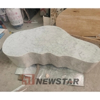 Statuario italien au design moderne, table basse en marbre blanc et pierre naturelle, table basse simple en pierre blanche
