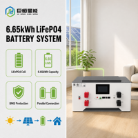 Batterie de stockage d'énergie domestique LiFePO4 51,2 V 130 Ah 6,6 kWh pour système solaire hors réseau, BMS intelligent, application Bluetooth, montage mural, OEM ODM