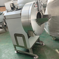 YOUBAN Automatische Fruit- en Groentesnijmachine Aardappel Wortel Mango Snijder/Schaafmachine voor Voedselverwerkingsbedrijven