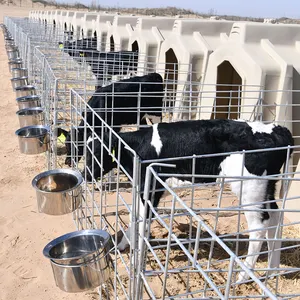 Farm equipment high quality plastic calf hutches house cow livestock house