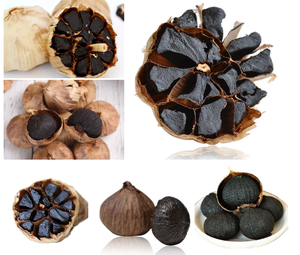 Máquina Coreana Japonesa para <span class=keywords><strong>Ajo</strong></span> Negro, Fermentador de <span class=keywords><strong>Ajo</strong></span> Negro de Acero Inoxidable 304 - Product Image 5
