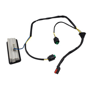 Interruptor de Puerta Trasera para Land Rover Freelander 2, LR020997, Repuesto para Apertura de Maletero - Product Image 4