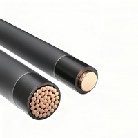 Cable THHN, Proveedor de Tamaños de Cable THHN en Filipinas, AWG 1AWG 2AWG 4AWG 6AWG 8AWG 10AWG 12AWG 14AWG, Cable Eléctrico de Cobre y Nailon THHN