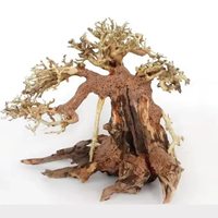 Décoration d'aquarium en bois et céramique, design moderne et écologique, squelette de racine de pin et de rhododendron, emballé en boîte