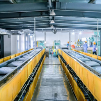 HUASHINE Sistem Penyimpanan dan Logistik Otomatis untuk Material Tas DENGAN ASRS/RGV/AGV/4 WAY CAR Dll. Peralatan