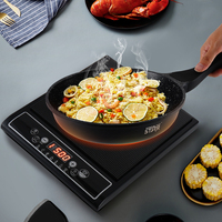 Plaque de cuisson électrique en céramique WINNING STAR ST-9784, plaque de cuisson à induction pour usage commercial