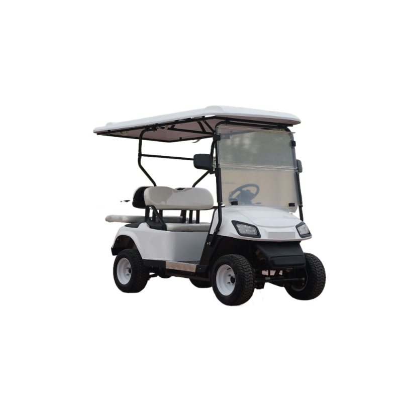 2025 Latest Model Electric Golf Cart