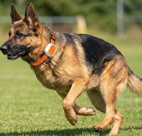 Collier de suivi GPS de précision pour animaux de compagnie avec surveillance de localisation 24h/24 et 7j/7 et alertes d'urgence SOS pour la sécurité des animaux