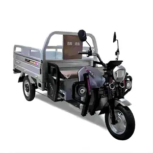 LUBEI Vehicle Manufacturer OEM/ODM 800W/1000W/1500W 1.5m/1.8m Adults Heavy Duty Electric Cargo Tricycle