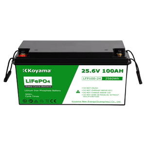 Koyama Lithium Iron Phosphate <b>Battery</b> <b>24V</b> 100Ah 200Ah <b>Batteries</b> for Marine Golf Cart Home Energy Solar Storage - Product Image 2