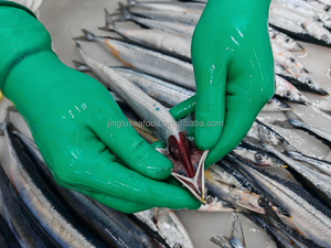 Sgombro del Pacifico Congelato Intero IQF Premium 200-300g Biologico a Basso Contenuto di Sale Confezione Bulk Pesce Saury Servizio OEM Fonte Marina Pulita - Product Image 2