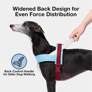 Arnés <span class=keywords><strong>para</strong></span> Perro de Alta Calidad, Sin Estrangulamiento, con Correa, Ajustable, Acolchado y Suave, <span class=keywords><strong>para</strong></span> Whippet, Galgo, Dachshund - Product Image 5