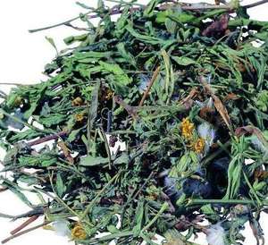 Травяной корень одуванчика, флавоноиды тараксакума, экстракт одуванчика в порошке - Product Image 4