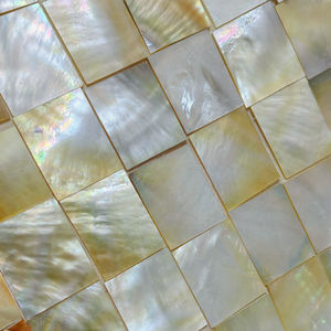 Piezas de Concha Marina Cuadradas al por Mayor para Manualidades y Accesorios de Bricolaje - Product Image 2