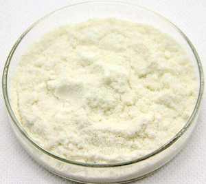 200 mil millones de probióticos activos en polvo promueven la digestión Suplemento de bebida sólida liofilizada natural con fibra dietética - Product Image 6