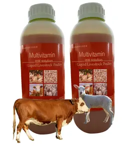 Suplemento nutricional líquido oral multivitamínico fabricante animal para aves e gado para crescer rapidamente