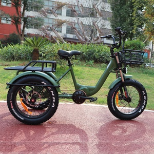 3 ruote <span class=keywords><strong>bici</strong></span> <span class=keywords><strong>elettrica</strong></span> Cargo Mid Drive 500 w1000w pneumatico grasso triciclo elettrico con cestello posteriore veloce consegna <span class=keywords><strong>bici</strong></span> <span class=keywords><strong>elettrica</strong></span> - Product Image 2