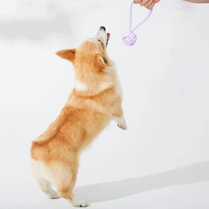 2025 New Arrival Làm Sạch Răng Pet Tương Tác Phong Trào Đồ Chơi Pet <span class=keywords><strong>Chew</strong></span> Đồ Chơi Pet Đồ Chơi - Product Image 5