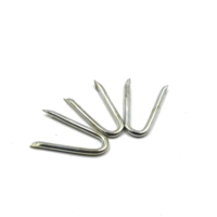 Acier galvanisé Fer Lisse Double Brad Poli Clou en U Disponible en acier inoxydable pour la construction Anneau Clôture en spirale