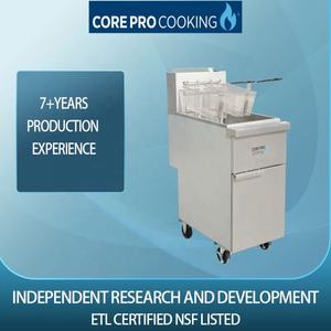 Offre Spéciale OEM/ODM Friteuse à gaz à réservoir unique Friteuse à gaz commerciale de grande capacité avec armoire - Product Image 2