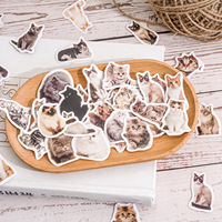 Paquete de 45 Pegatinas de Papel con Diseño de Gatitos para Selfies, Lindas Pegatinas de Gatos de Dibujos Animados para Decorar Cuadernos, Fundas de Teléfono y Más