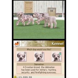 Nintendoed Dalmation & Friends DS Games خرطوشة بلاستيك إصدار الولايات المتحدة الأمريكية لـ DS لـ NDS 2DS بدون بطاقة R4 - Product Image 4