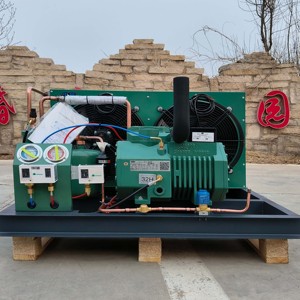 4HP kompresör çekirdek bileşenleri ile 20hp hava soğutmalı yoğuşmalı birim motor otomatik evaporatör dondurucu oda enerji tasarrufu - Product Image 1