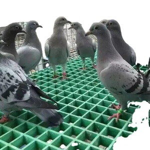 FRP Grating Guard Tree Pond <b>Cover</b> Fiberglass <b>Drain</b> Ditch <b>Cover</b> - Product Image 5