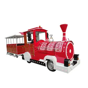 Theme park rides battery adult rides train set