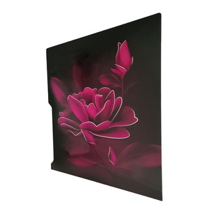 Electrodomésticos de cocina, cubierta de puerta de refrigerador, panel de vidrio, serigrafía multicapa, vidrio templado para refrigeradores - Product Image 2