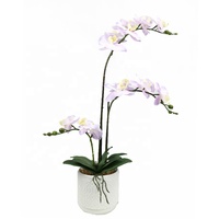 Convient à la décoration intérieure Plante à fleurs en fausse orchidée de 40cm de haut avec pot en ciment
